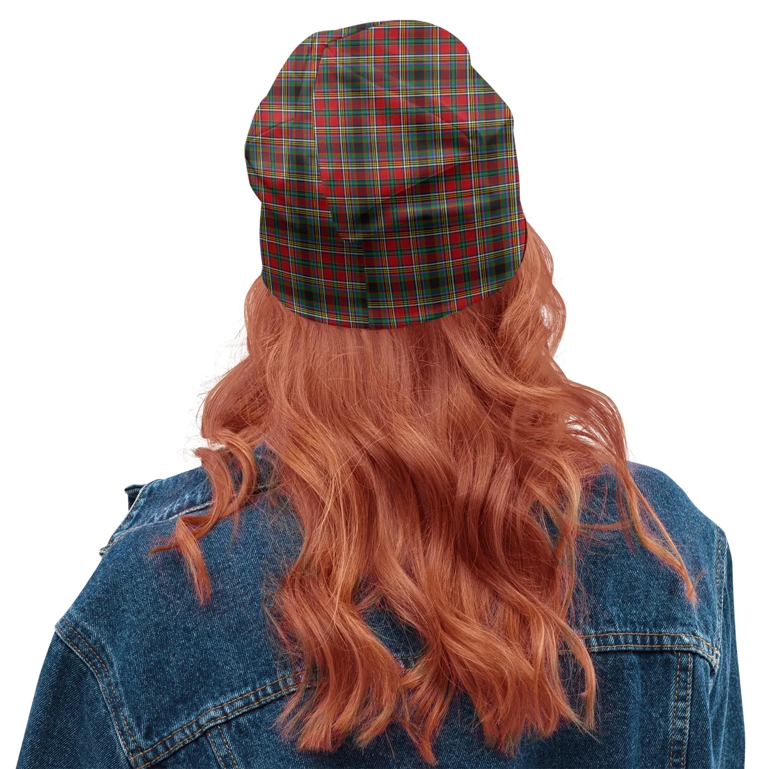 Anderson of Arbrake Tartan Beanies Hat with Family Crest