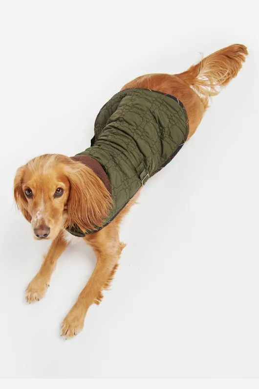 Dog Bone Quilted Coat