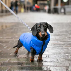 Hugo & Hudson Reversible Blue & Navy Puffer Jacket